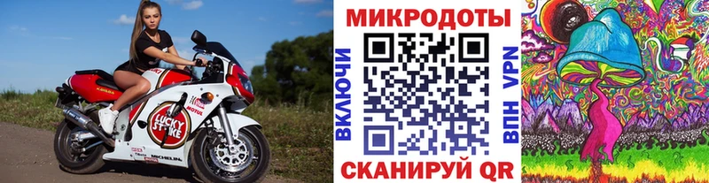 Псилоцибиновые грибы мицелий  купить закладку  Воронеж 